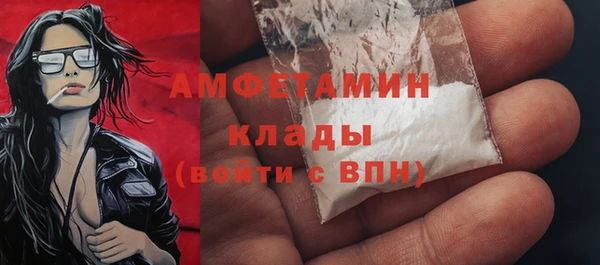 стаф Алзамай