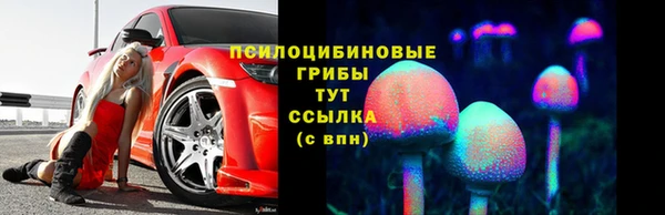 стаф Алзамай