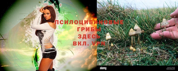 трава Алексеевка