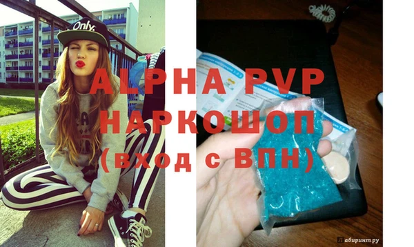 стаф Алзамай