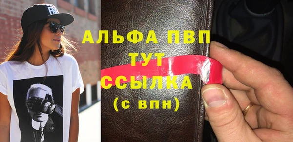 стаф Алзамай