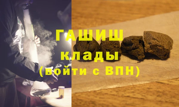 стаф Алзамай