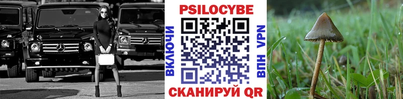 купить   Волгодонск  Галлюциногенные грибы GOLDEN TEACHER 