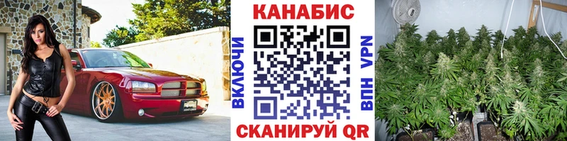 Шишки марихуана Ganja  где можно купить наркотик  Волгодонск 